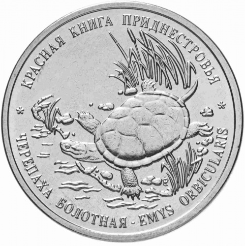 Монета 1 рубль Черепаха болотная. Красная книга. Приднестровье 2018 UNC фото 2