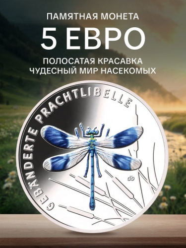 Монета 5 евро Полосатая красавка. Чудесный мир насекомых. Германия 2023 UNC