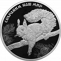 Серебряная монета 3 рубля в капсуле (31,1г) Сохраним наш мир. Белка обыкновенная. СПМД 2023 Proof
