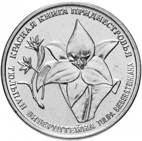 Монета 1 рубль Тюльпан Биберштейна. Красная книга. Приднестровье 2019 UNC фото 2 Монета 1 рубль Тюльпан Биберштейна. Красная книга. Приднестровье 2019 UNC фото 2