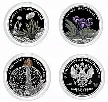 Подарочный набор из 3-х серебряных монет 2 рубля в капсулах серии Красная Книга. СПМД, 2022 г. Proof