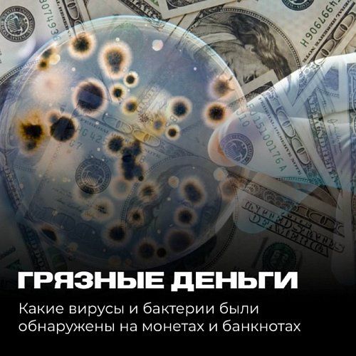 «Грязные деньги»