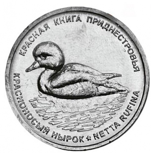 Монета 1 рубль Красноносый нырок. Красная книга. Приднестровье 2023 UNC
