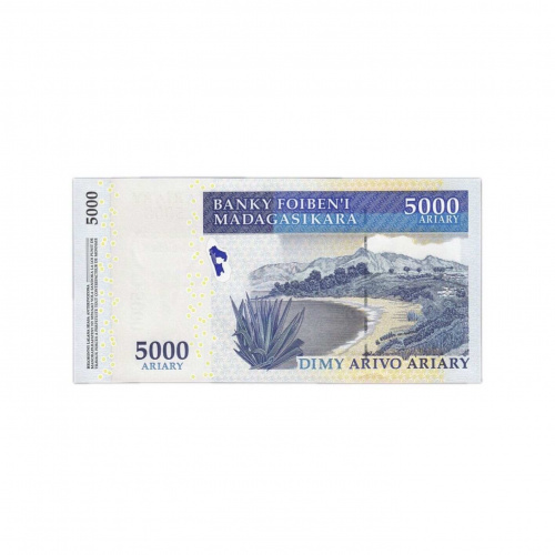 Коллекционная банкнота 5000 ариари Пятилетний план развития. Мадагаскар 2007 aUNC фото 2 Коллекционная банкнота 5000 ариари Пятилетний план развития. Мадагаскар 2007 aUNC фото 2