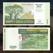 Экзотические новинки магазина Mon Loisir с острова Мадагаскар - ариари 2008 года выпуска