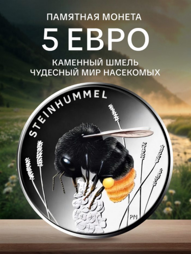 Памятная цветная монета 5 евро Каменный шмель. Чудесный мир насекомых. Германия 2024 UNC